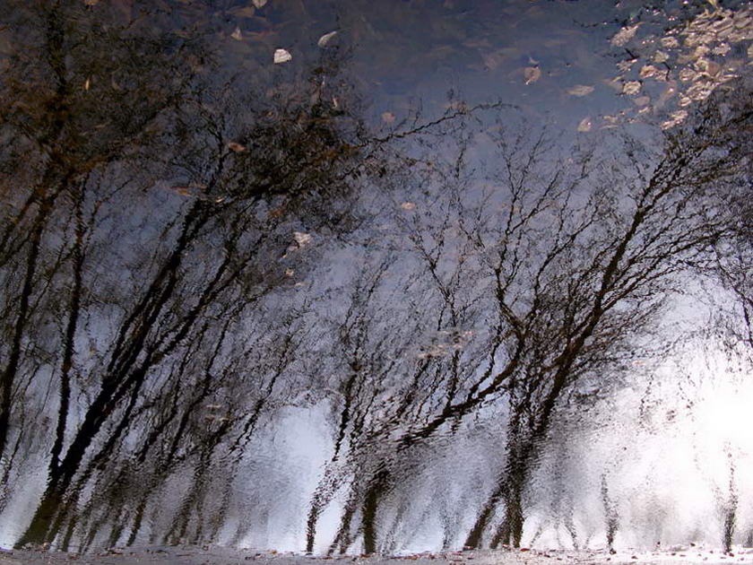 Ветер снова хулиганит за окном