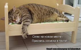 Во сне
