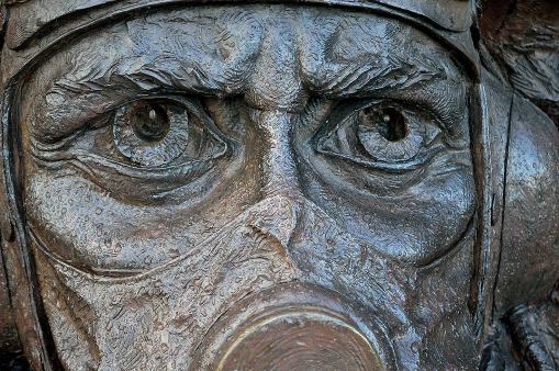 Гулкий рёв Предупрежденья