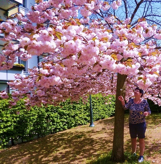 Vielleicht glaubst Du nicht ganz