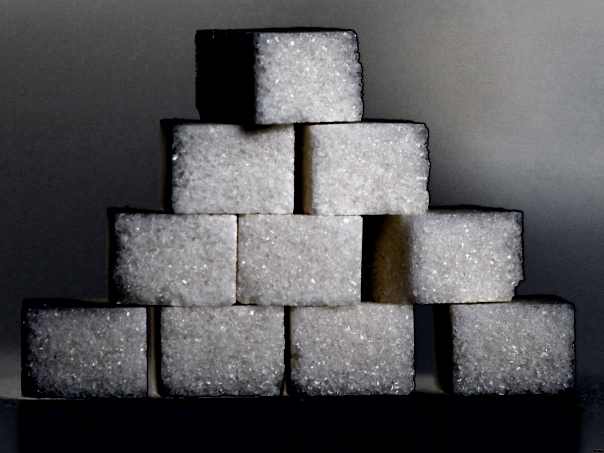 Стадо в одежде