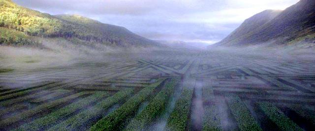 Во сне и наяву