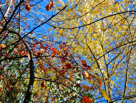 Осенний сезон