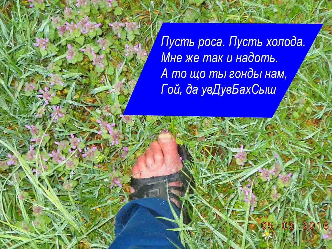 Когда ни гармонии в лобике нету,