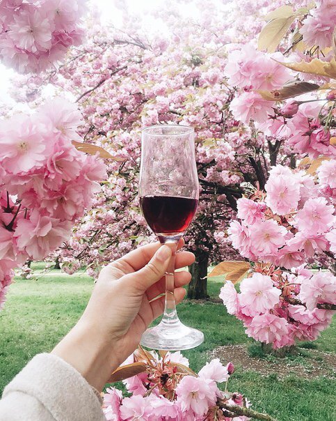 Что за жизнь то?