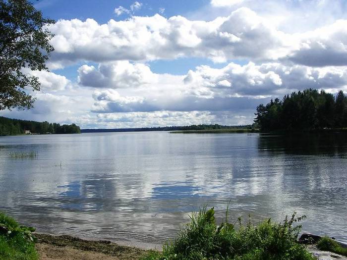 Утренний моцион