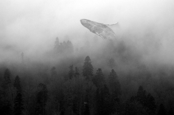 Друг мой, все встречные не замечали твою осень...