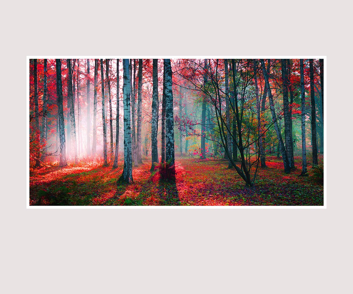 рубиновая сказка