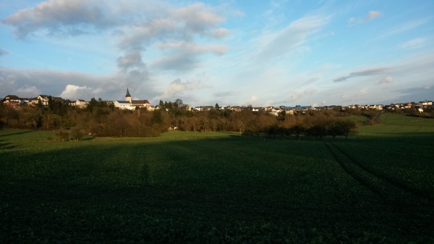 Мне снилась родина другая