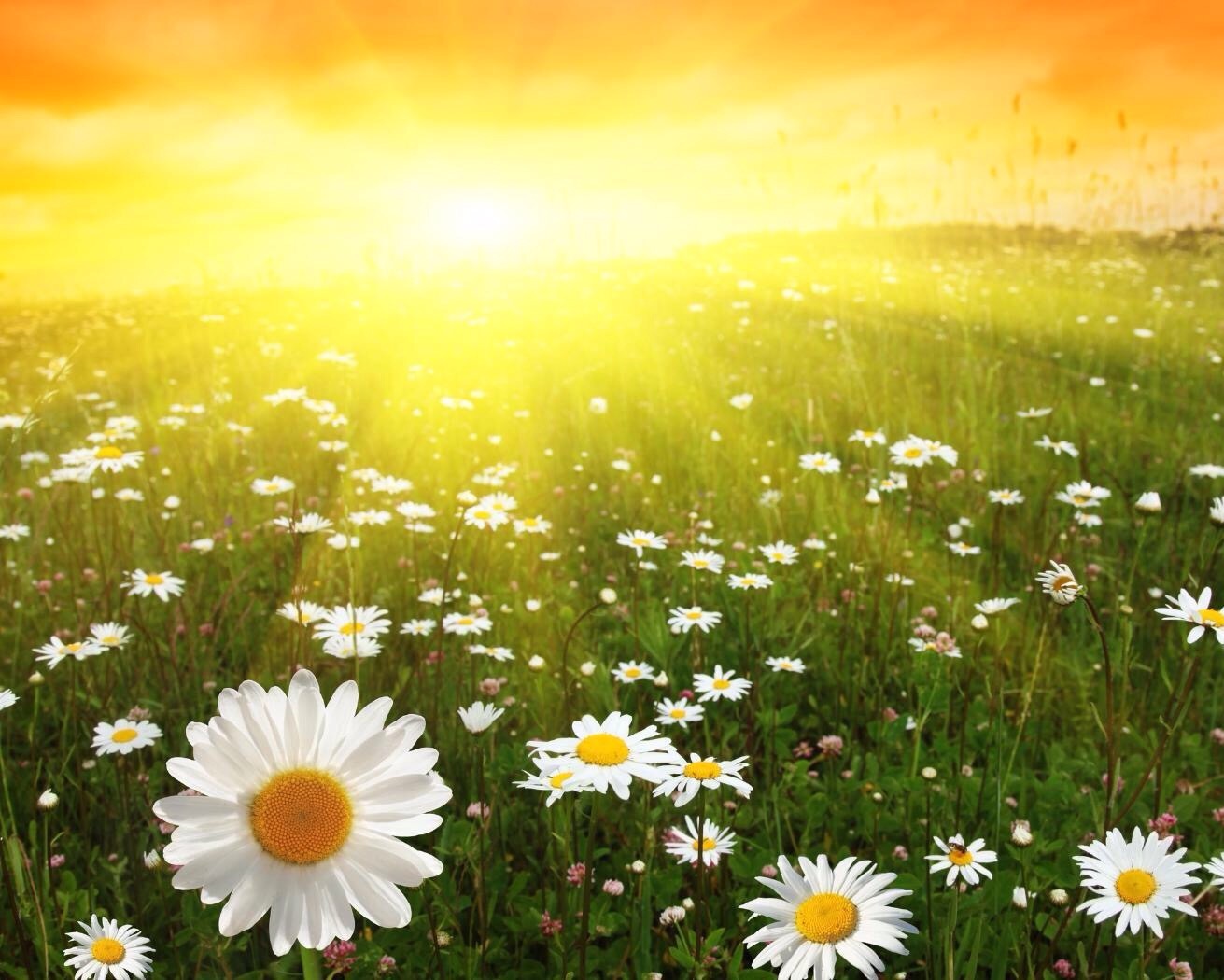 В природе, что-то изменилось