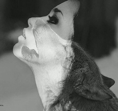 Почему, наша жизнь коротка?