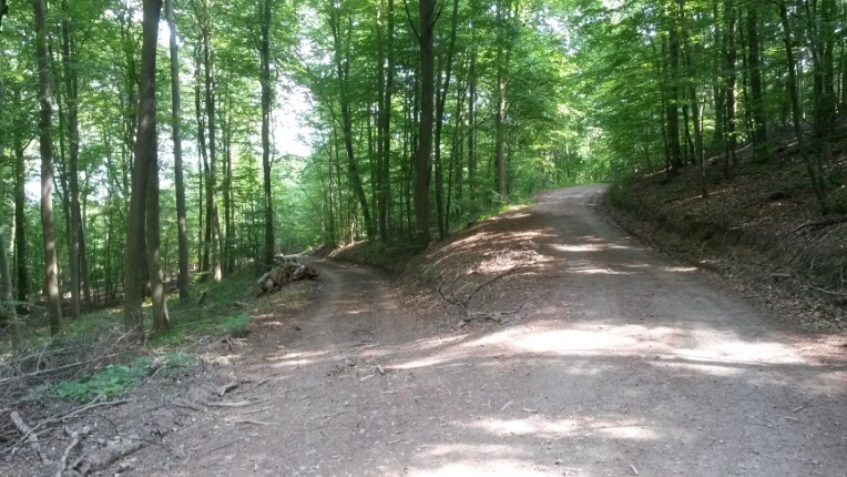 Еще мне вспомнятся не раз