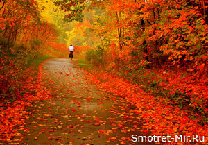 Городская осень