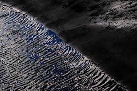 Я пил шантре в кафе Парижа