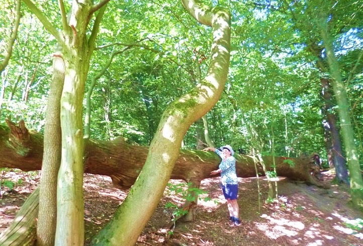 Herzenskraft ermutigen