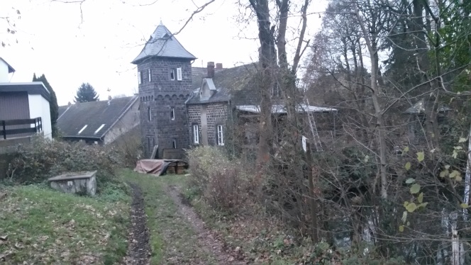 Дорога, и скамья, и лебедь на пруду