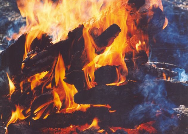 Упаси от бездомья, Боже!