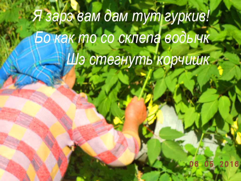 А дело было-то як раз ва в балоци