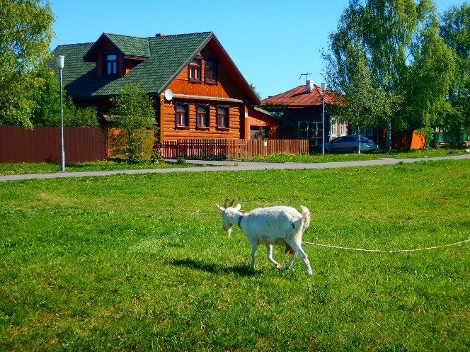 Купить Дом В Мурин Бор Костюковичи Могилевской