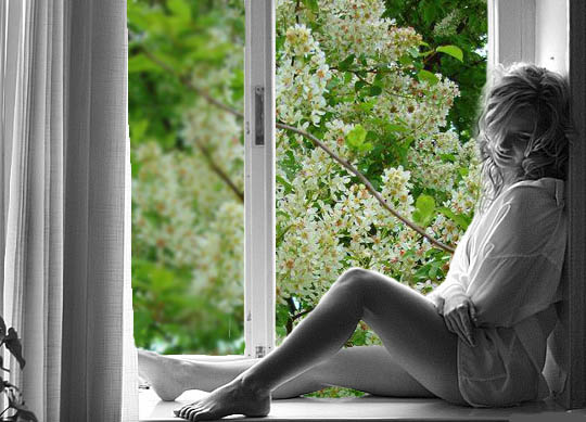 Лепестковая метель