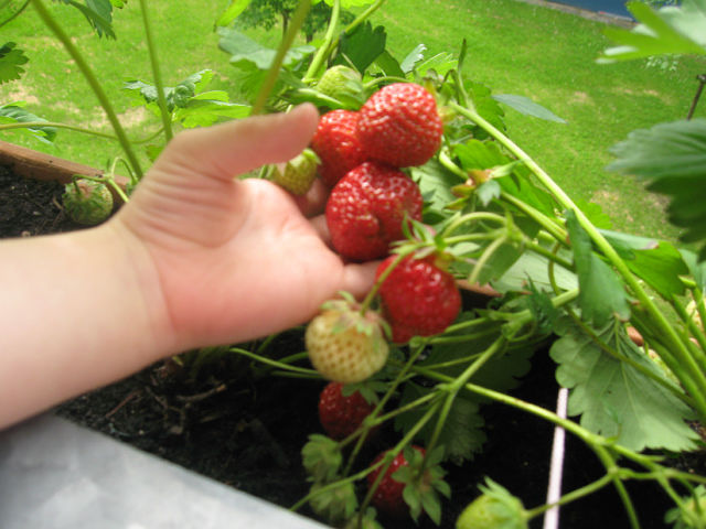 Молитва матери