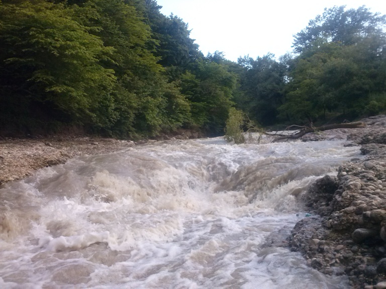 О! летний дождь, вечернего позднего мая...