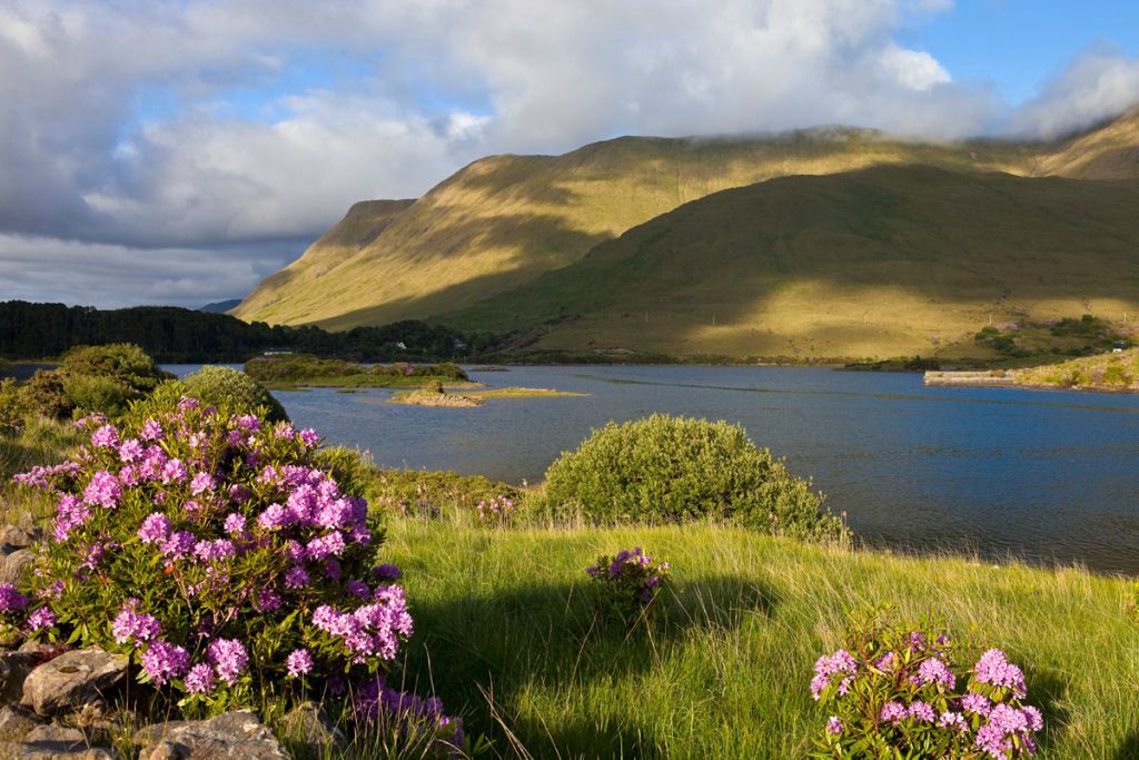 Мы крепко связаны с Землей