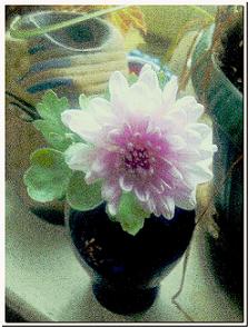 Я Безумно Романтична