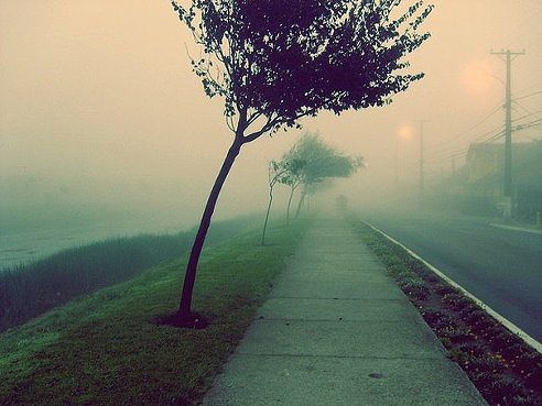 Где же лето?