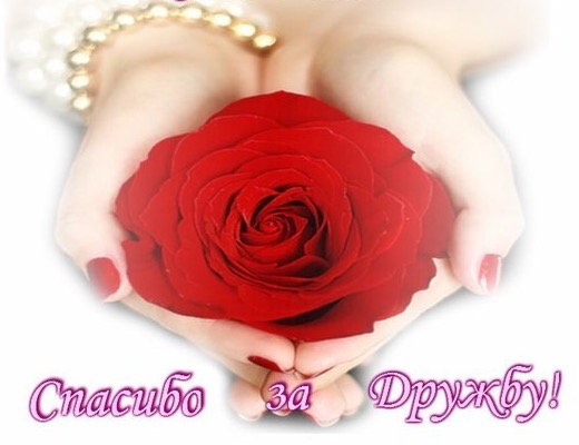 Другу по перу