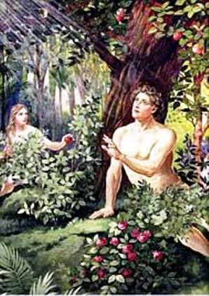 Ева. Николина Вальд