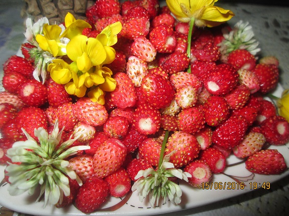 Земляничные острова