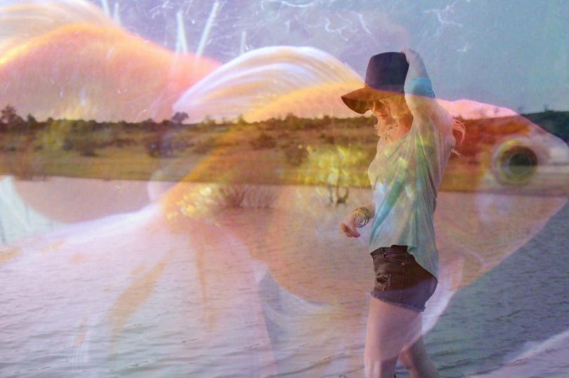 Золото рыбки...