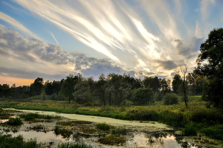 дремлет Тортилла