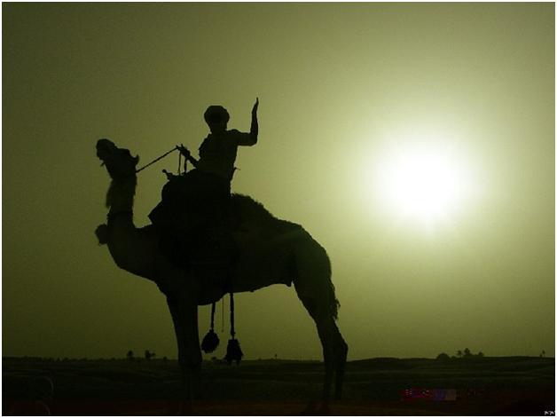 Ближний Восток. 13. 12. 2015