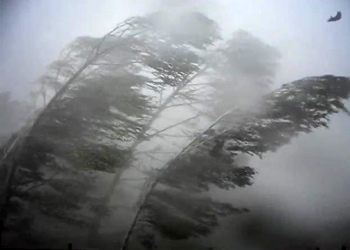 Такой же дурной как ветер