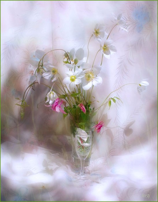 Я нежность дивную взращу...