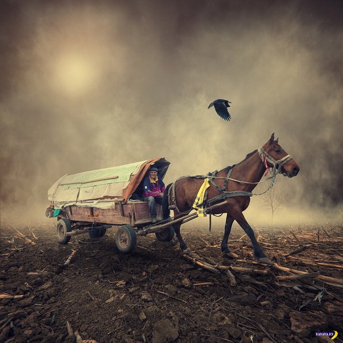 Наступит утро...