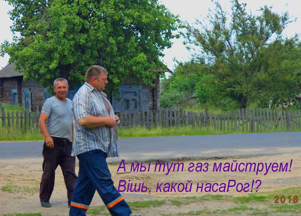 Ва Год Культуры-та в кого