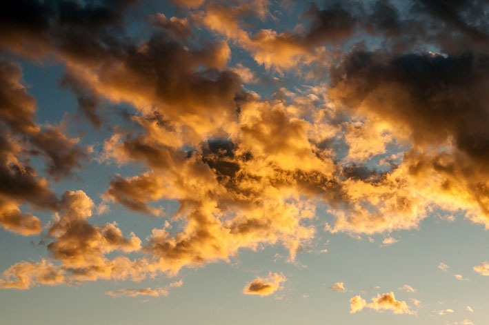 Игрушка Жребия...