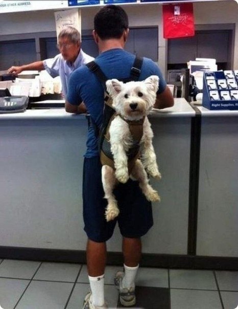 Почему людей тянет на приключения?