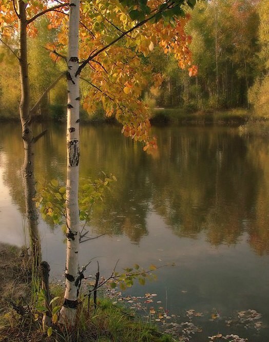 Приметы осени