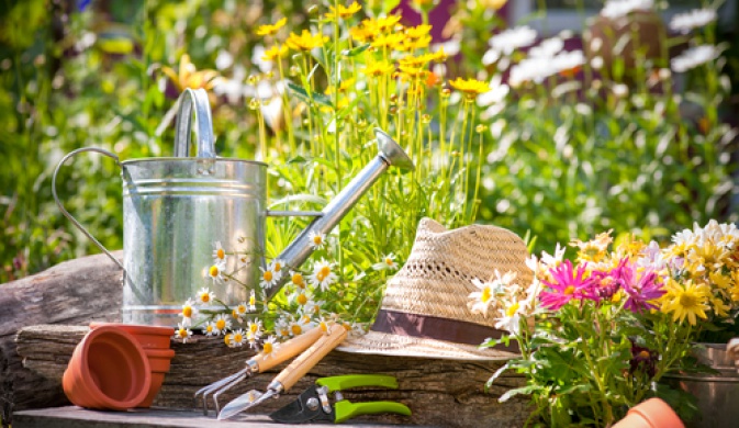 Лето вернулось!