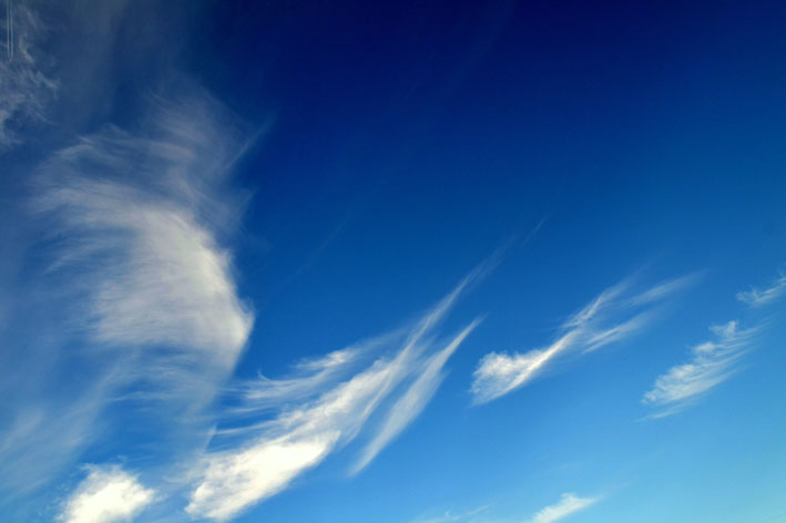 Лепестки роняла хрупкая душа...