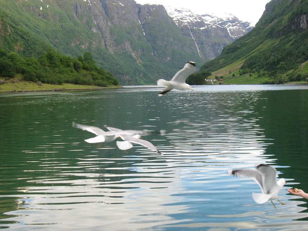 У тебя солнце, море