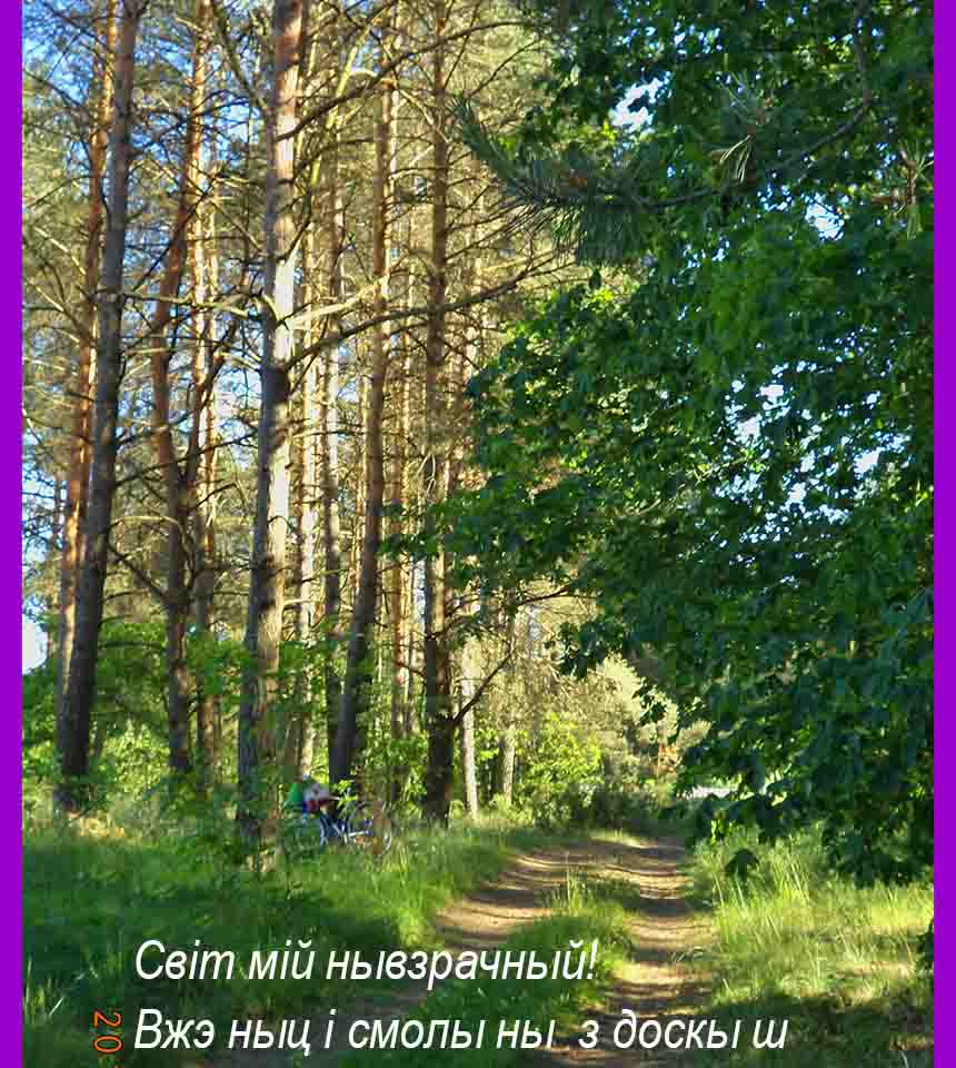 А ты спрабуй на сабе