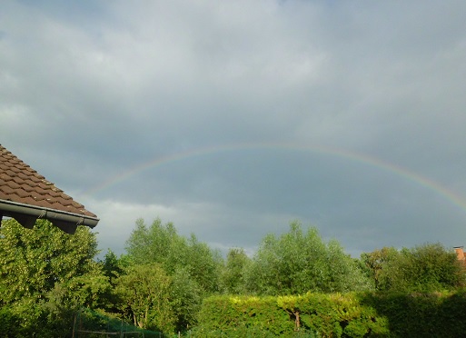 Cлепой дождь