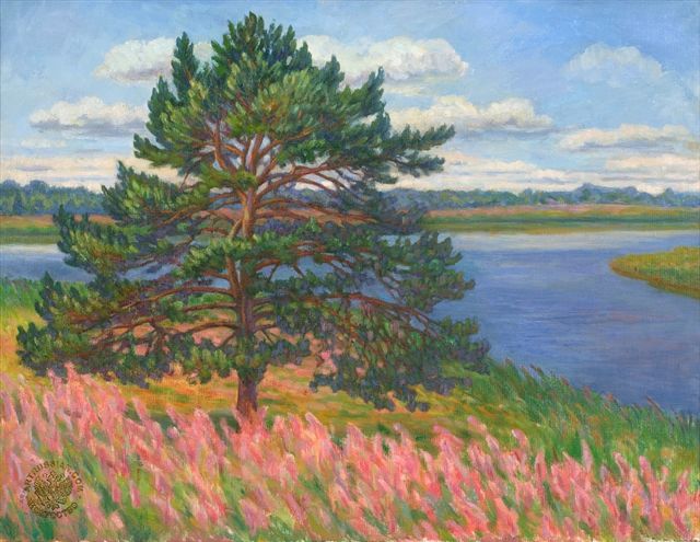 В палящем цвете иван-чая