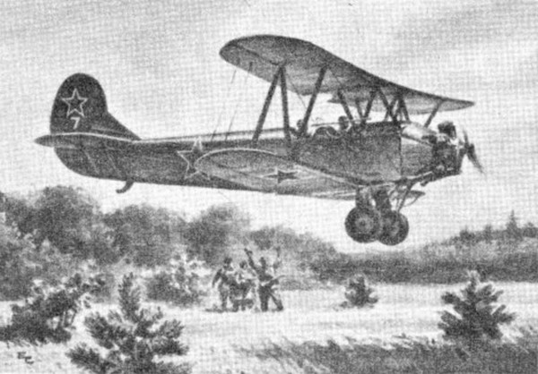 Кукурузник как росток