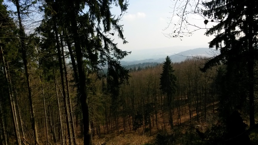 Нет, сердце вновь не встрепенется